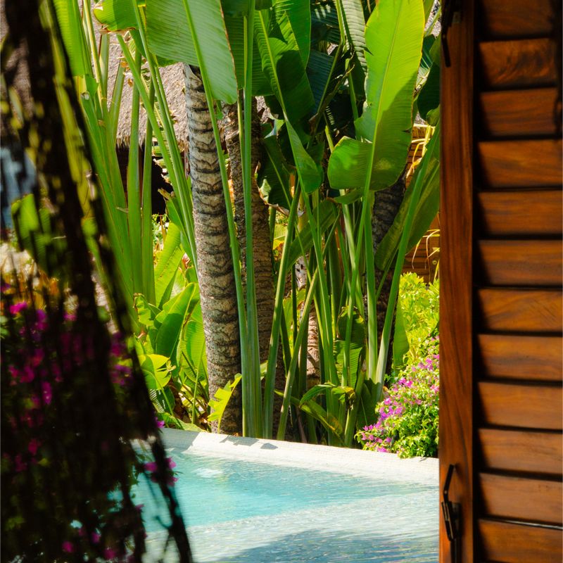 Beachfront Home in Puerto Escondido