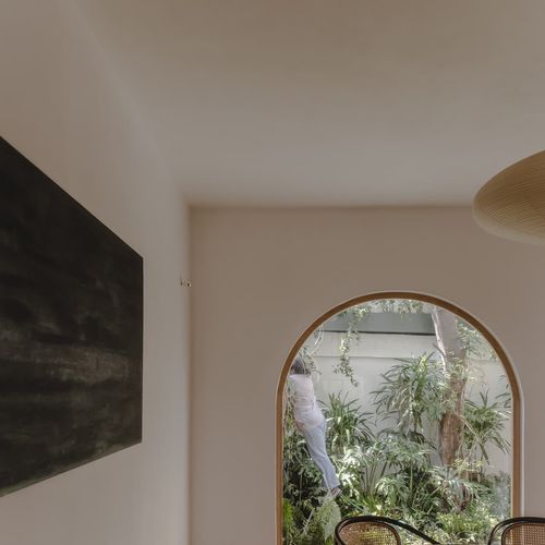 Two Homes in Condesa