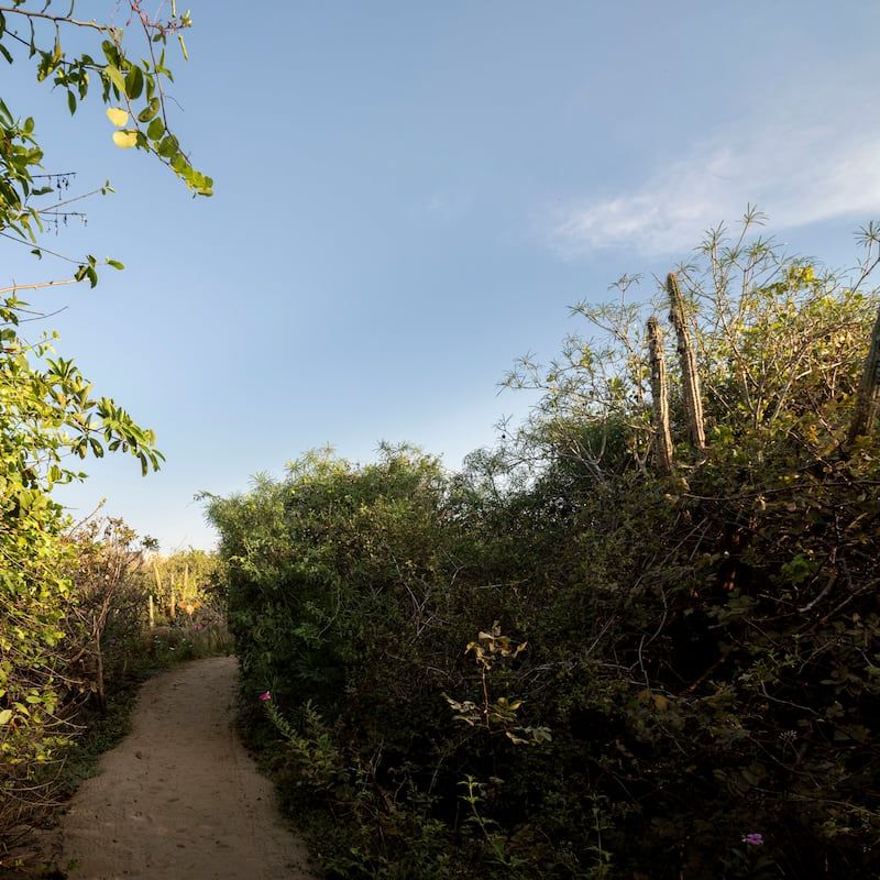 Beach Shack in Casa Wabi Area