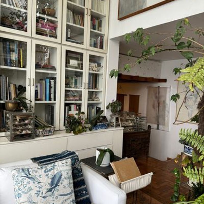 Two Homes in Condesa