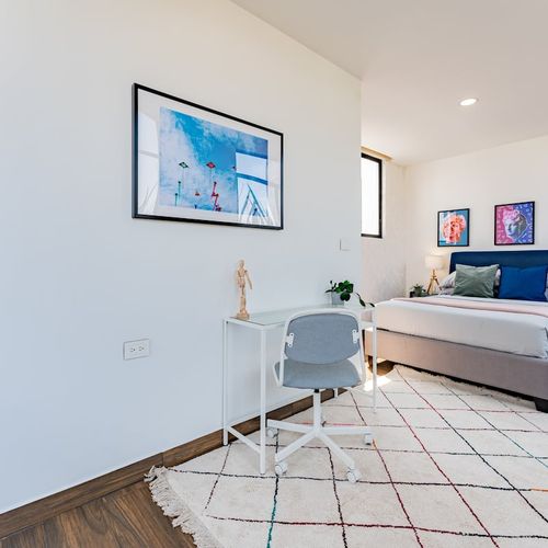 Large Penthouse in Condesa