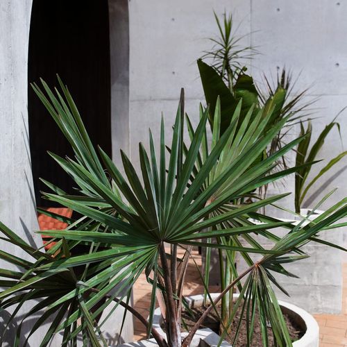 Brutalist Home in La Punta