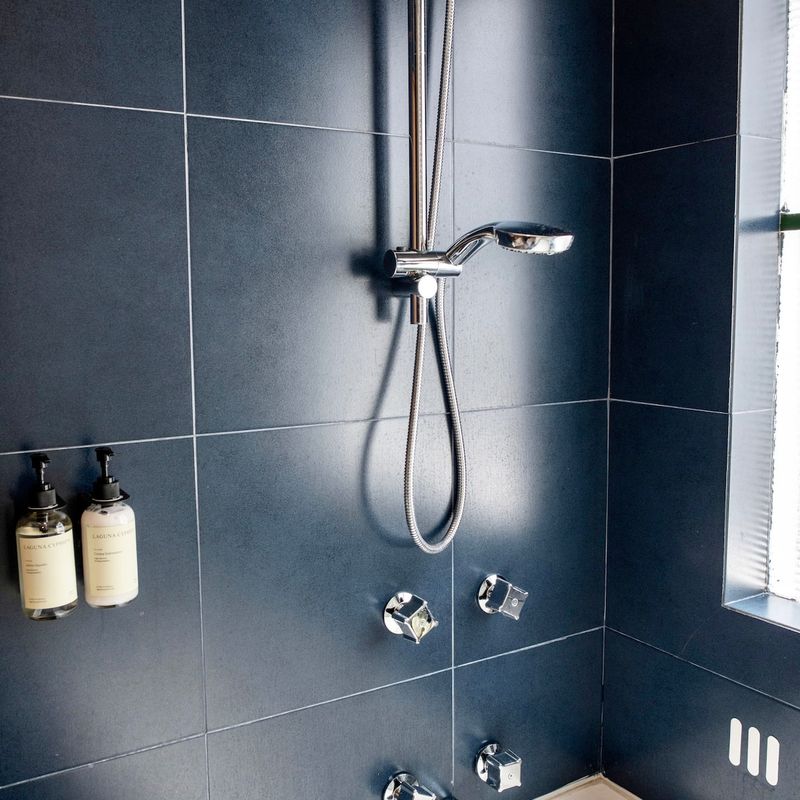 Two Homes in Polanco