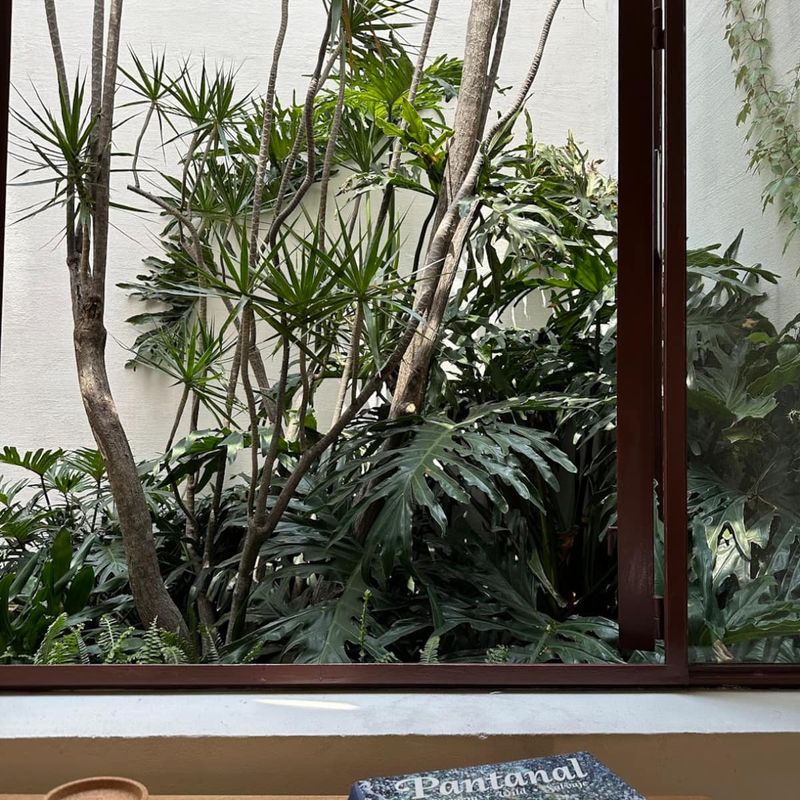 Designer Home in Condesa