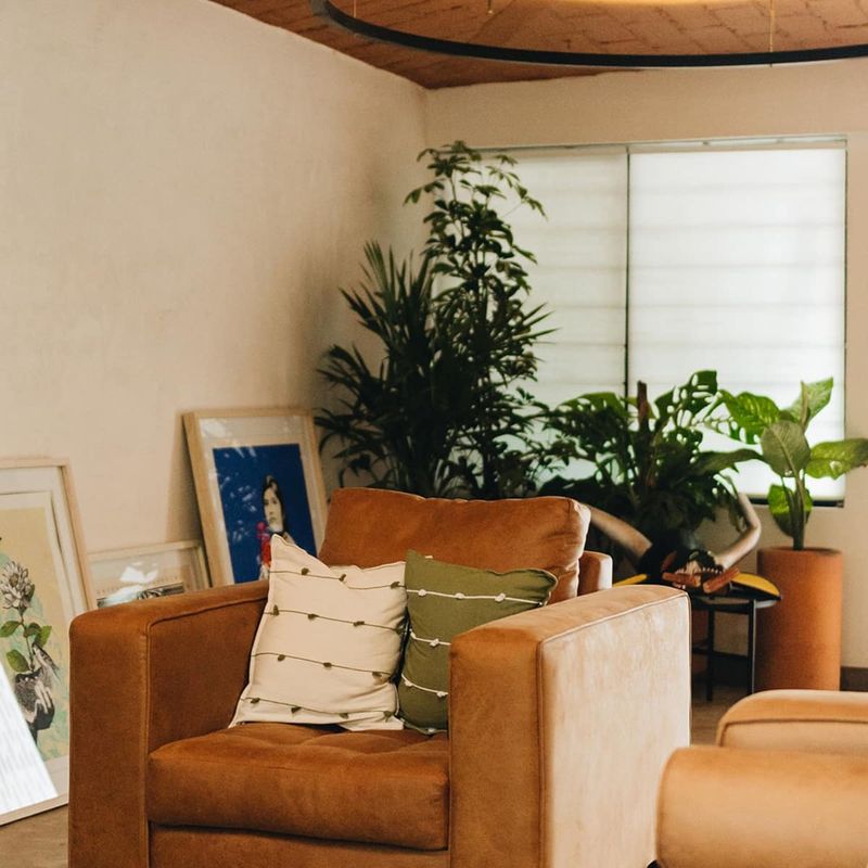 Designer Home in Oaxaca