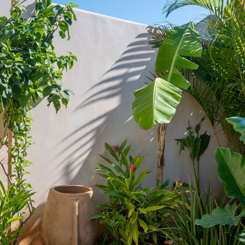 Stunning Home in Zicatela