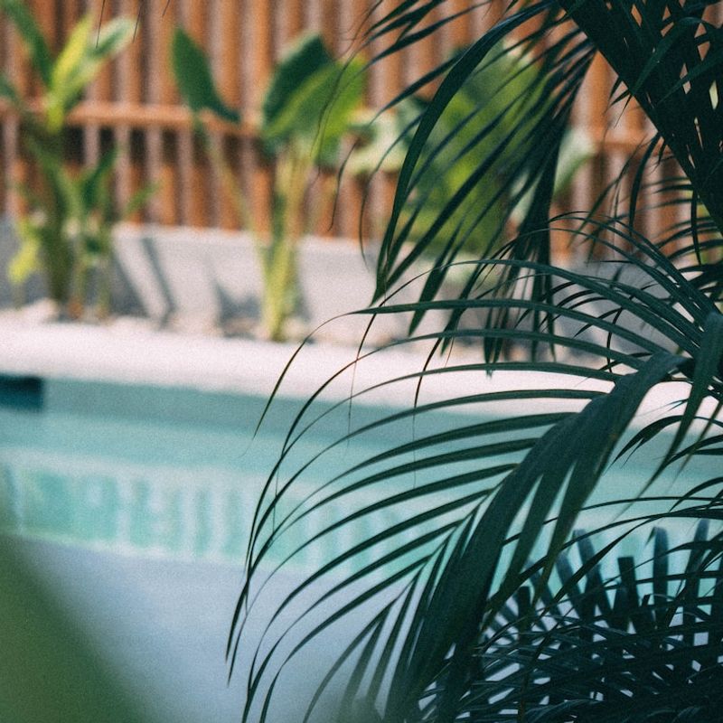 Home in Santa María Colotepec