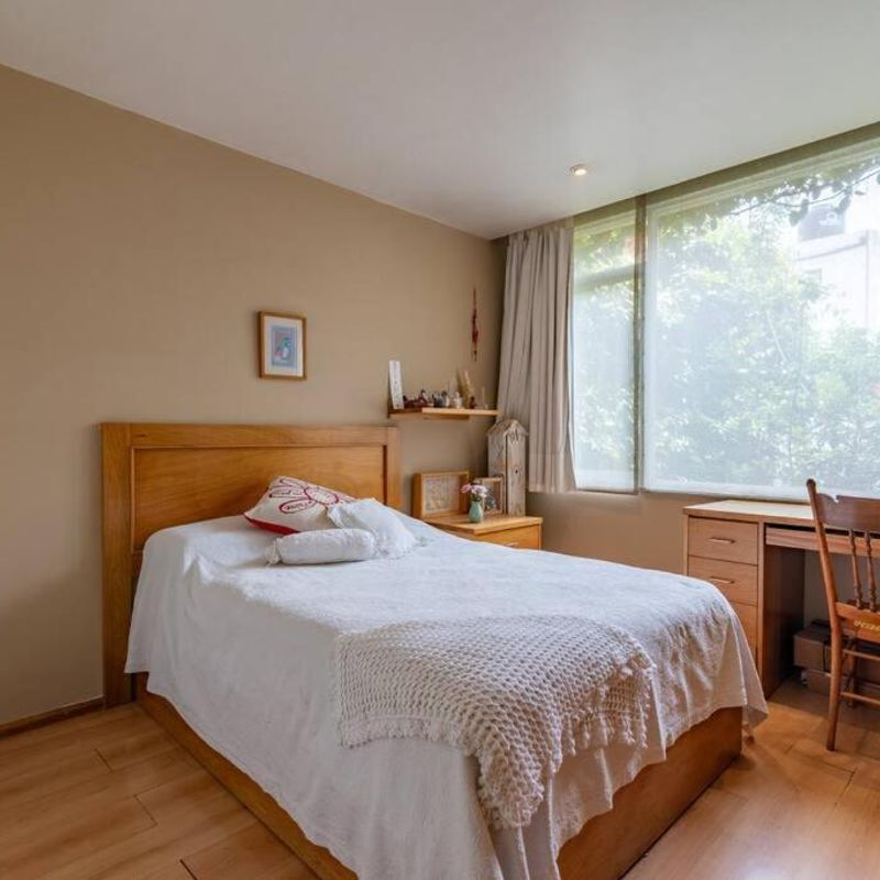 Artist's Home in Condesa