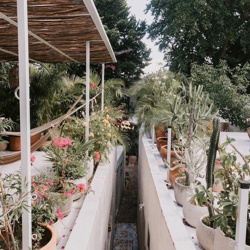 Bed & Breakfast in Merida