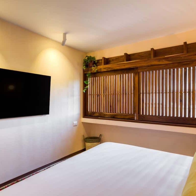 Two Apartments in Condesa