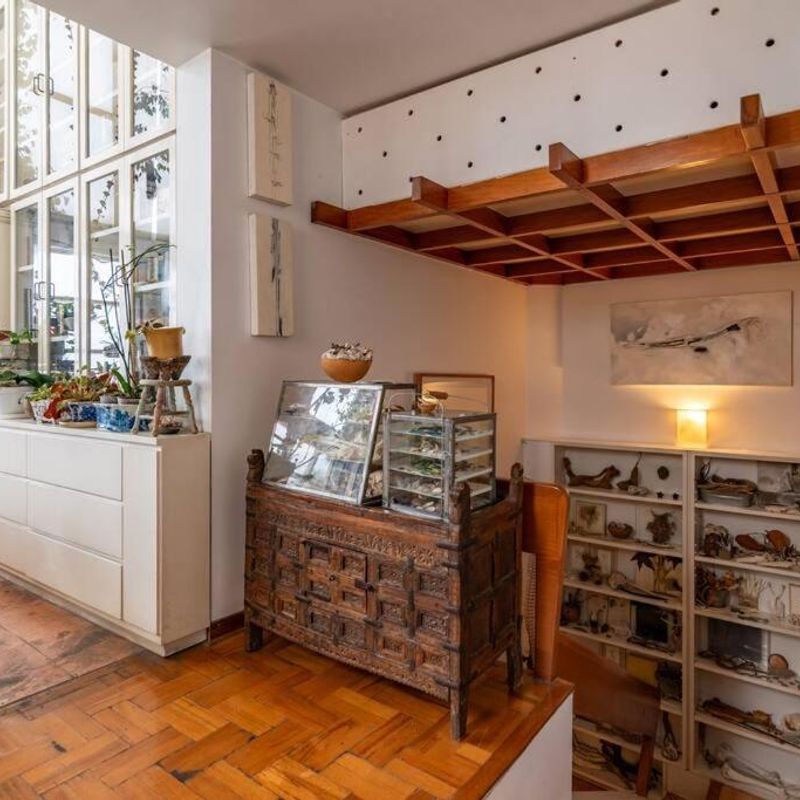 Artist's Home in Condesa