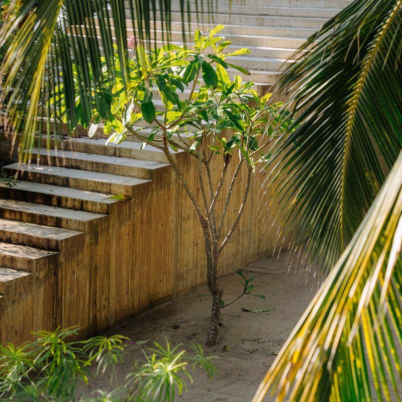 Designer Home in Ventanilla