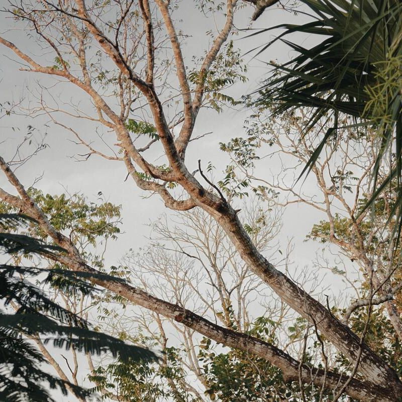 Home in Sisal Valladolid 