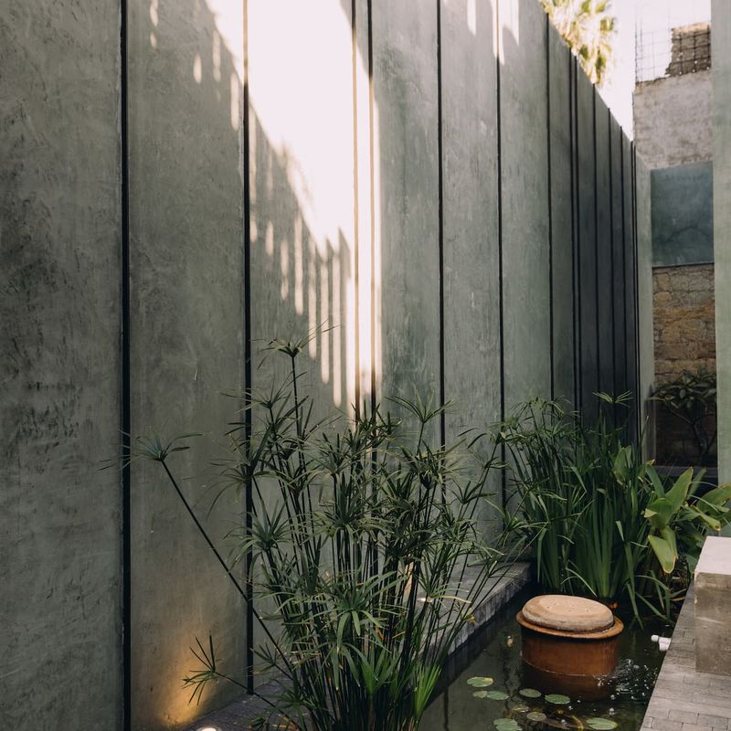 Luxury Home in Oaxaca