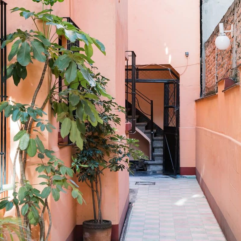 Apartment in Condesa