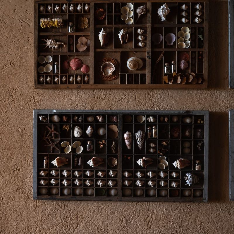 Beachfront Cabana in Progreso