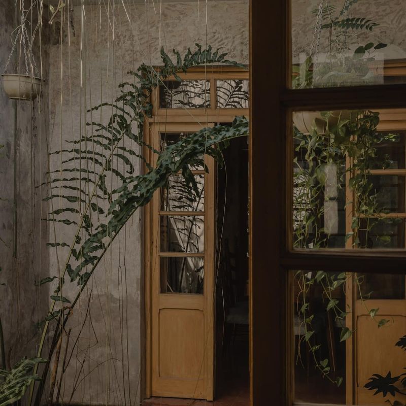 Designer Home in Merida