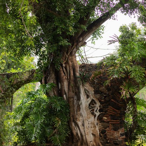 17th Century Hacienda in Morelos