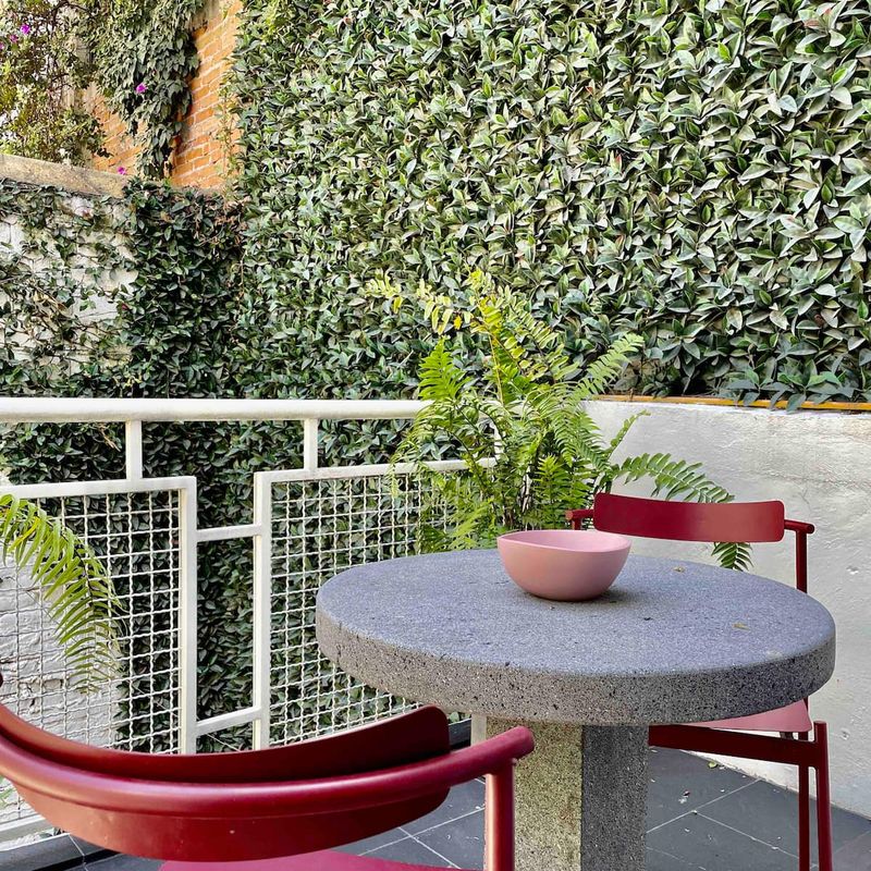 Designer Home in Condesa