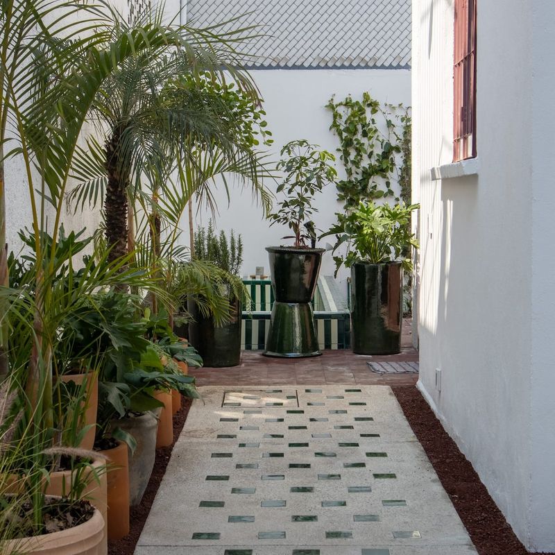 Designer Home in Condesa