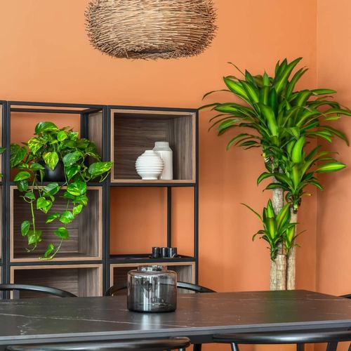 Apartment in Roma Sur