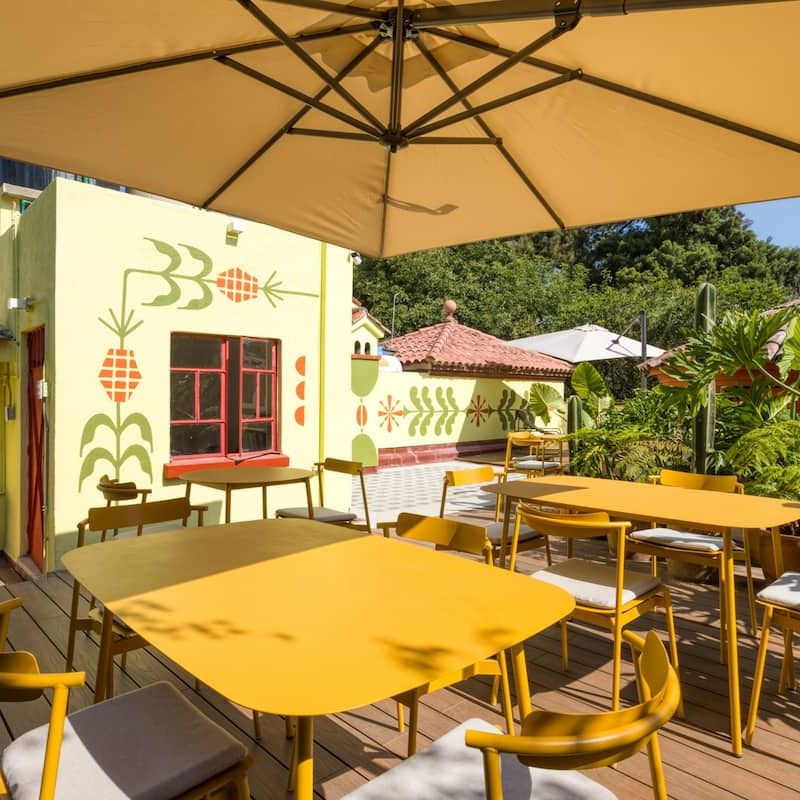 Private House in Condesa