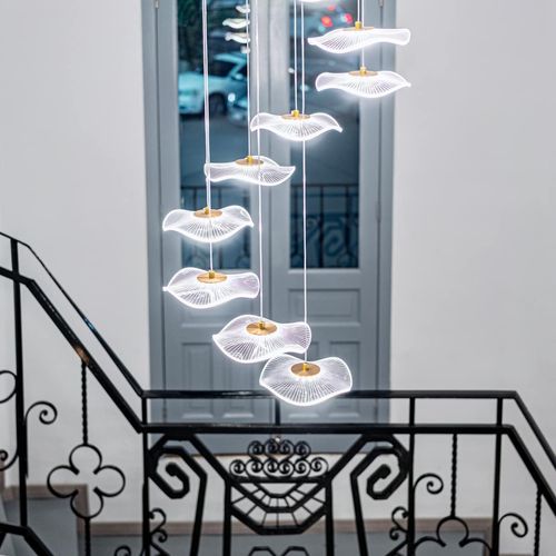 Large Home in Roma Norte