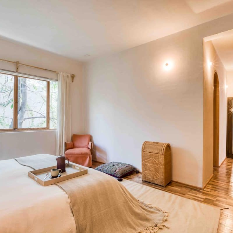 Two Homes in Condesa