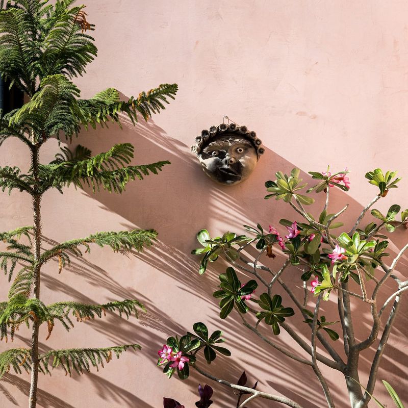 Beachfront Villa in Los Naranjos