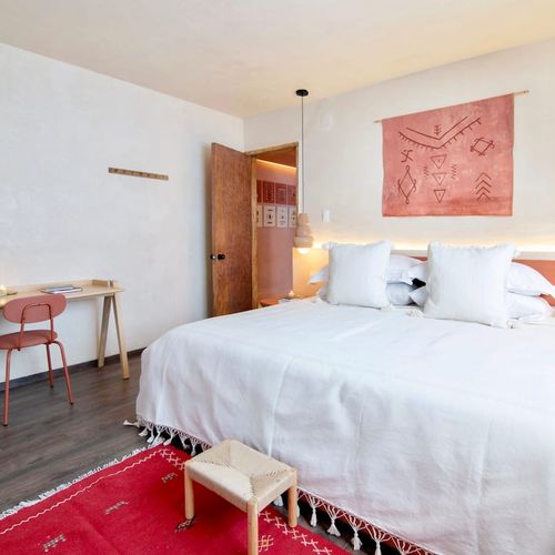 Two Homes in Polanco