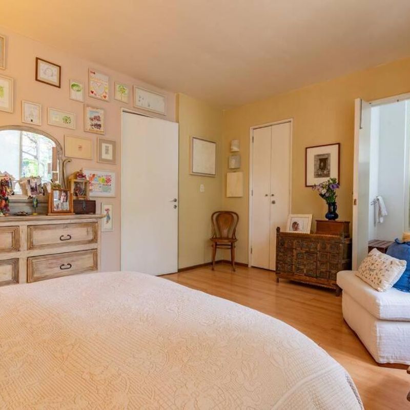 Artist's Home in Condesa