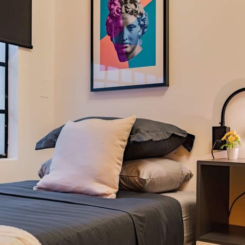 Large Home in Roma Sur