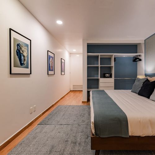 Large Home in Condesa