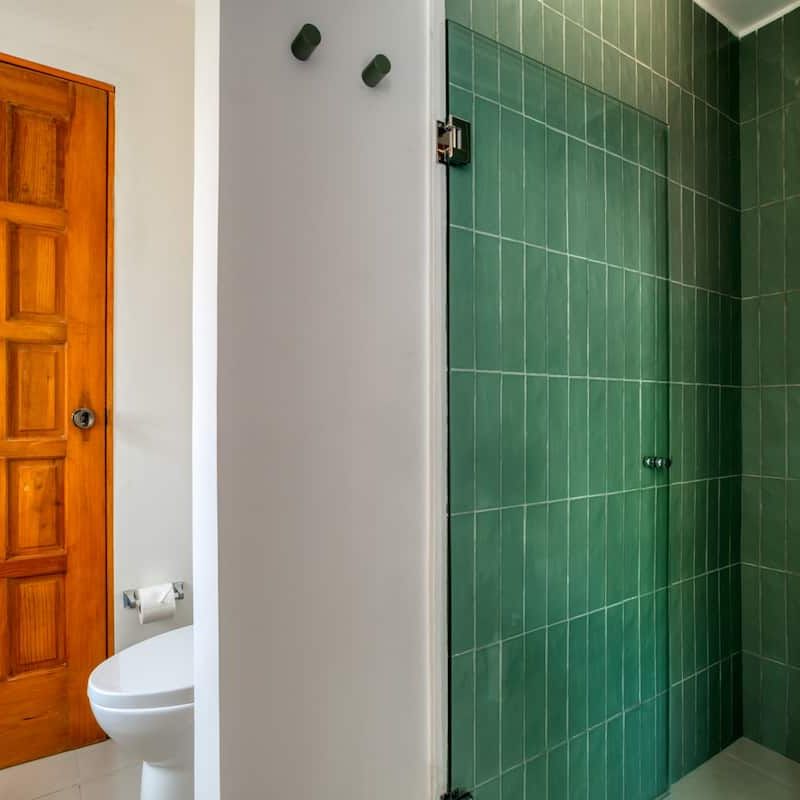 Private House in Condesa