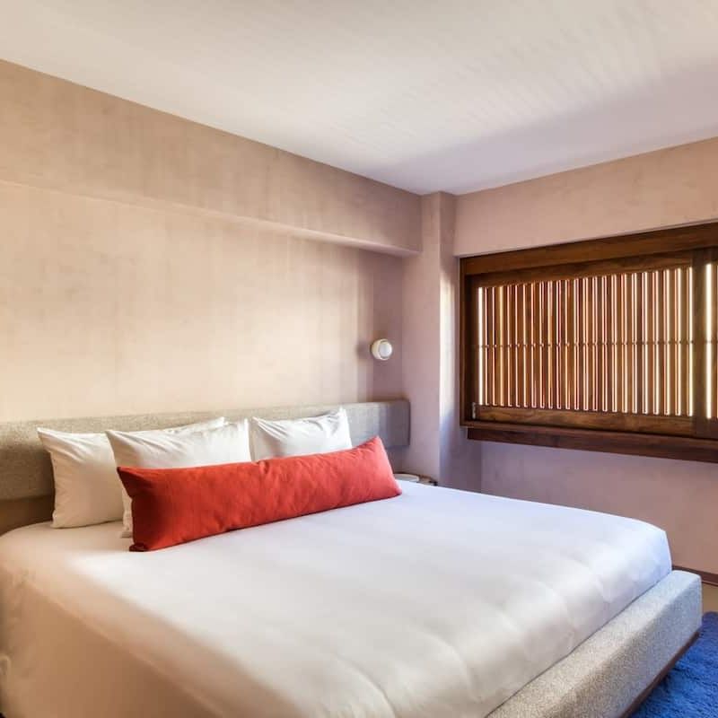 Two Apartments in Condesa