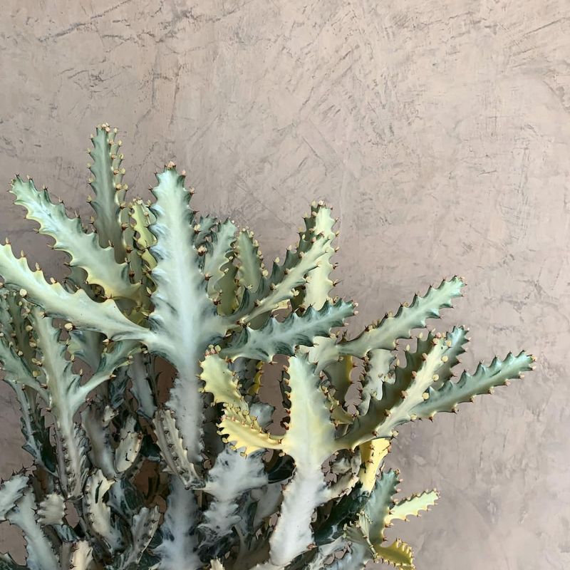 Apartment in Mazunte