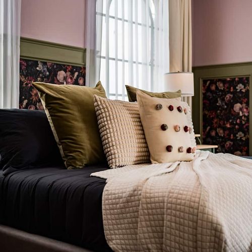 Large Home in Roma Norte