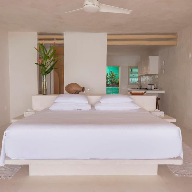 Apartment in Careyes