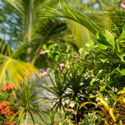 home in El Puertecito