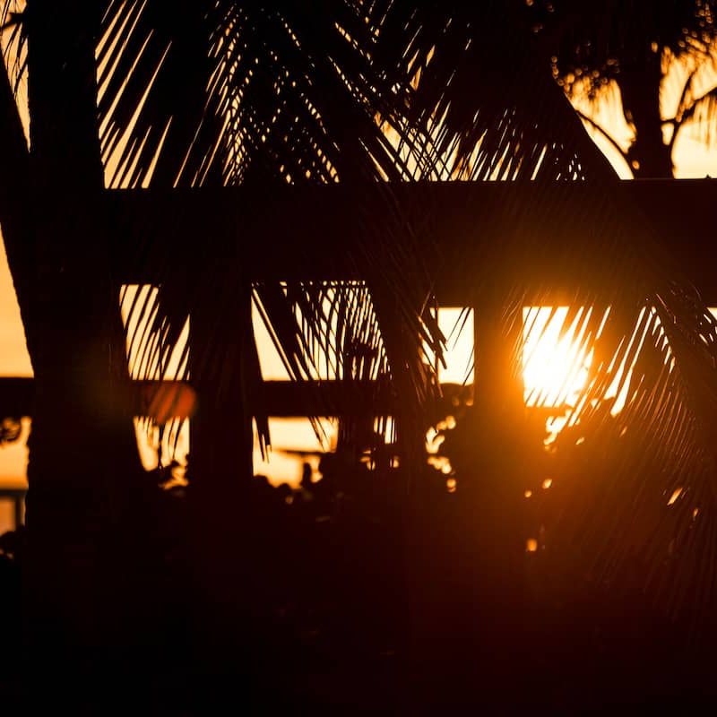 Beachfront Villa in Los Naranjos