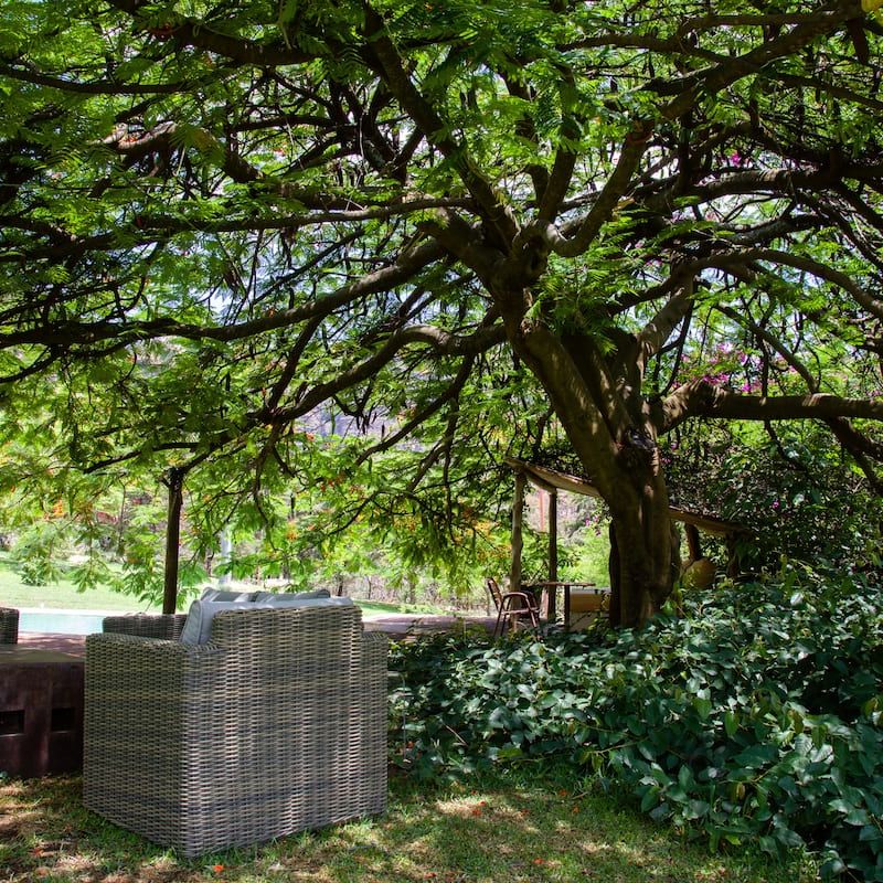 Countryside Home in Malinalco