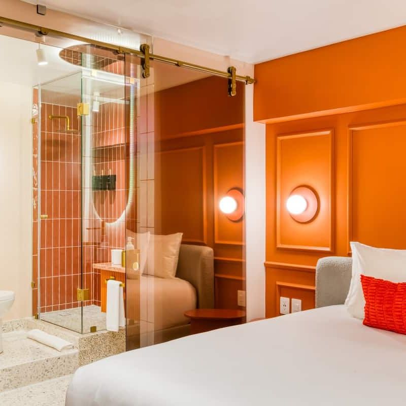 Two Apartments in Condesa