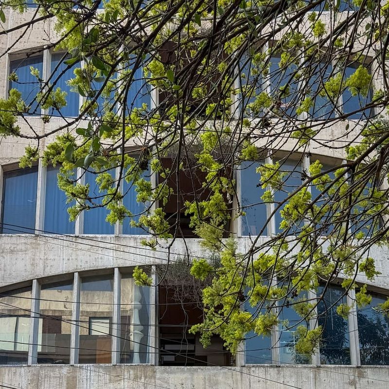 Apartment in Condesa