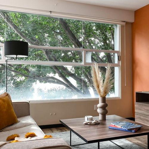 Apartment in Roma Sur
