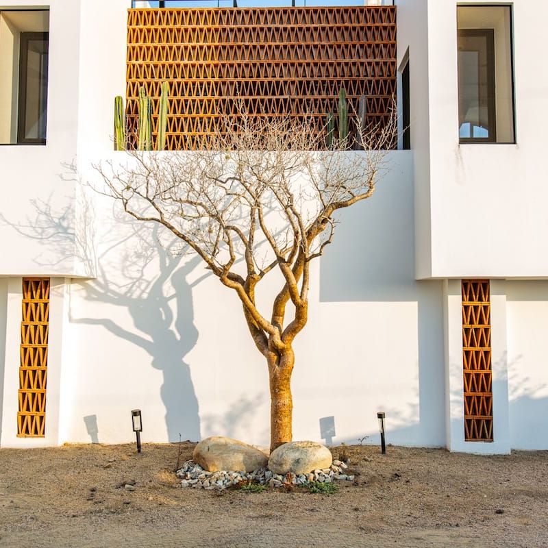 Villa in Todos Santos