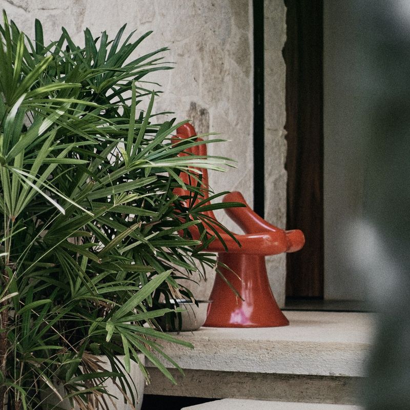 Designer Home in Macario Gómez