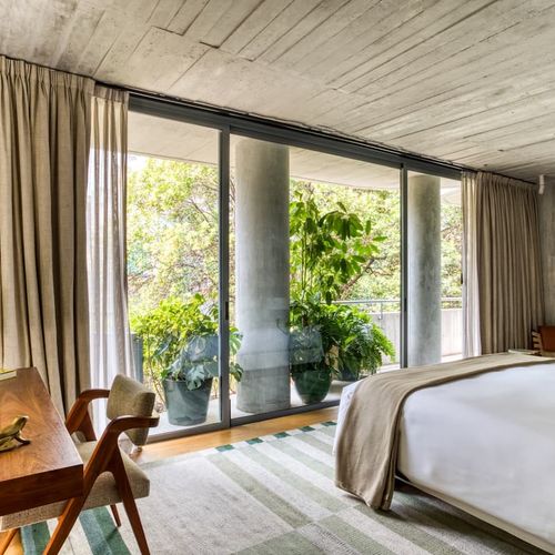Designer Apartment in Mexico City