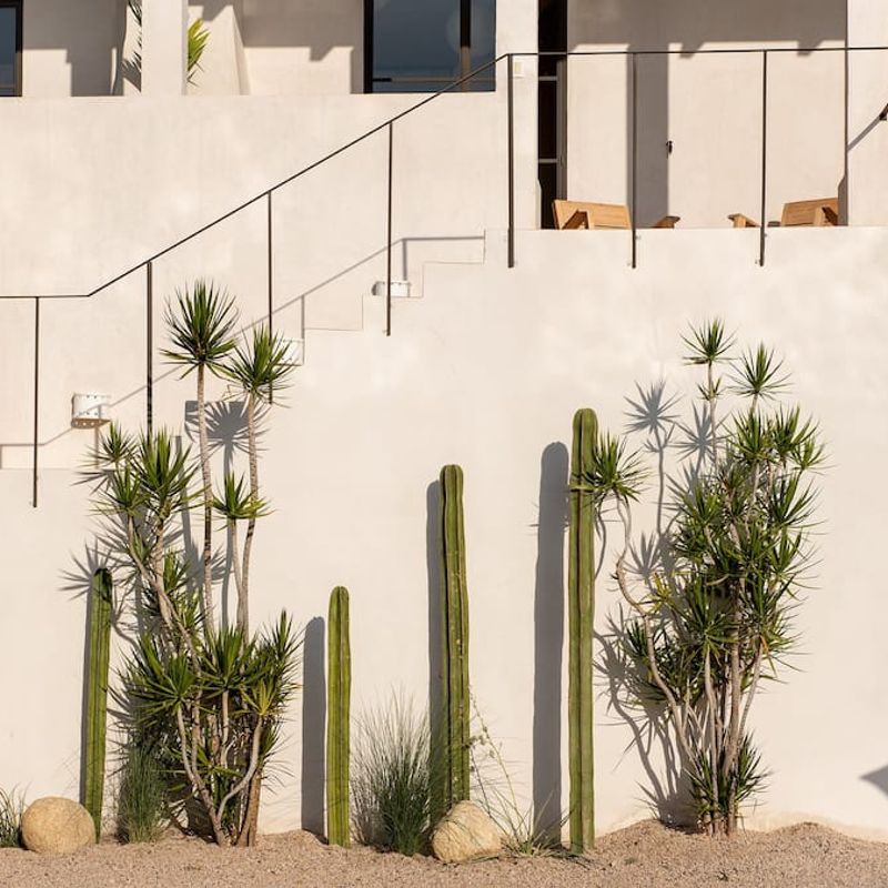 Trendy Home in Todos Santos