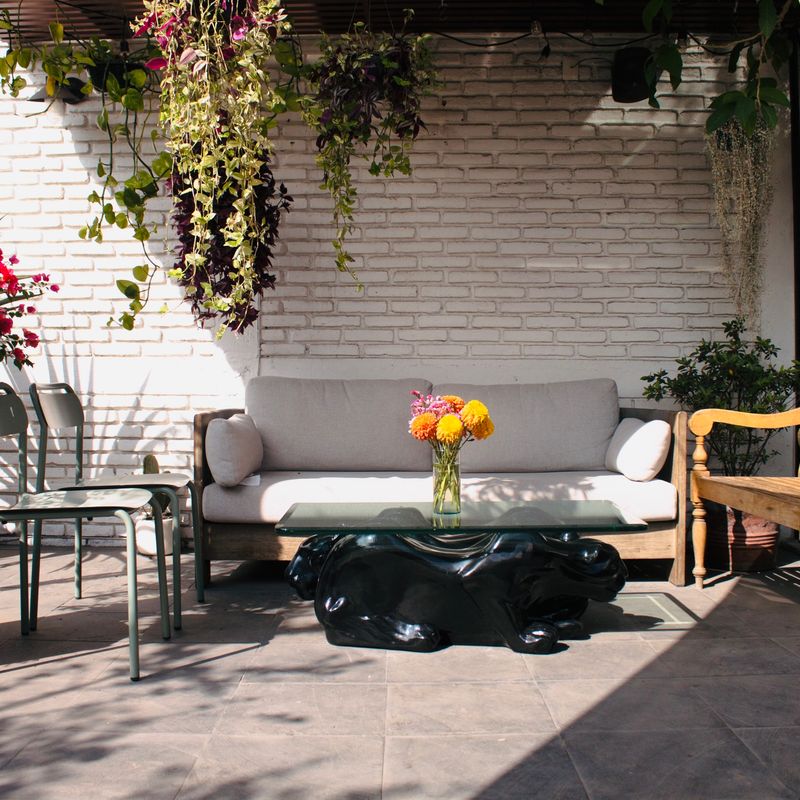 Large Home in Roma Sur