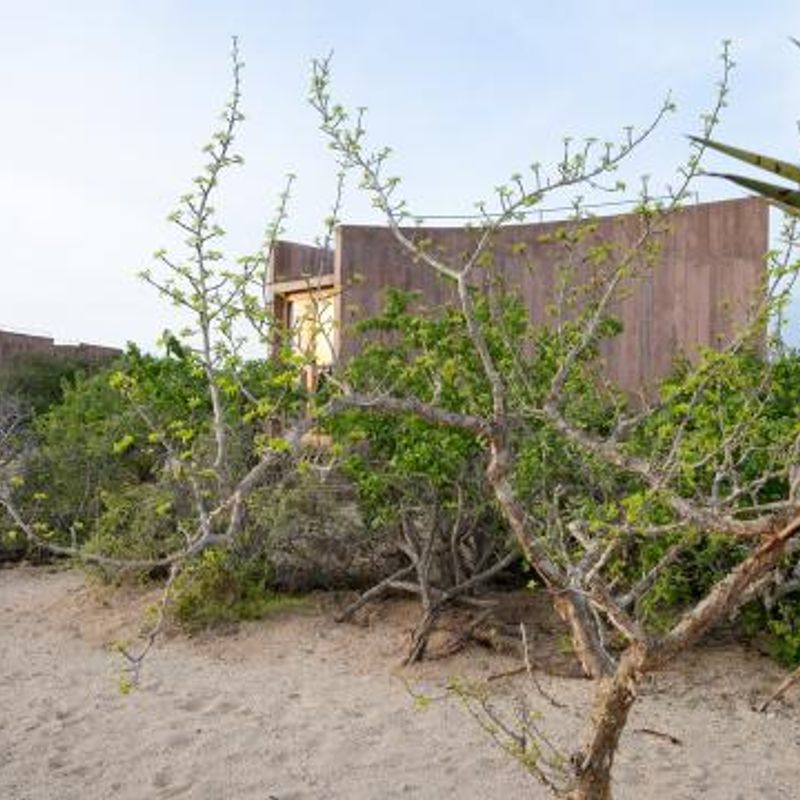 Home in Todos Santos